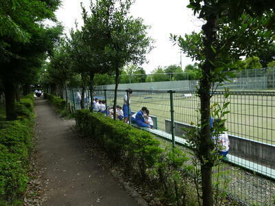 ソフトテニス男子（北本市総合公園）